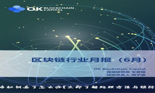 比特币秘钥丢了怎么办？立即了解处理方法与预防措施！